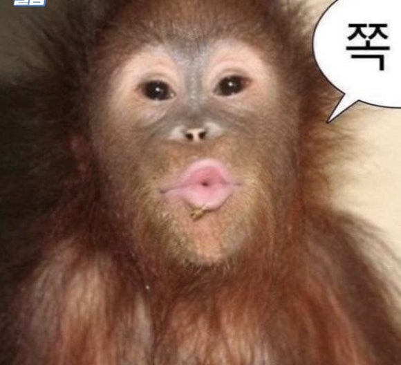 데이투 이미지
