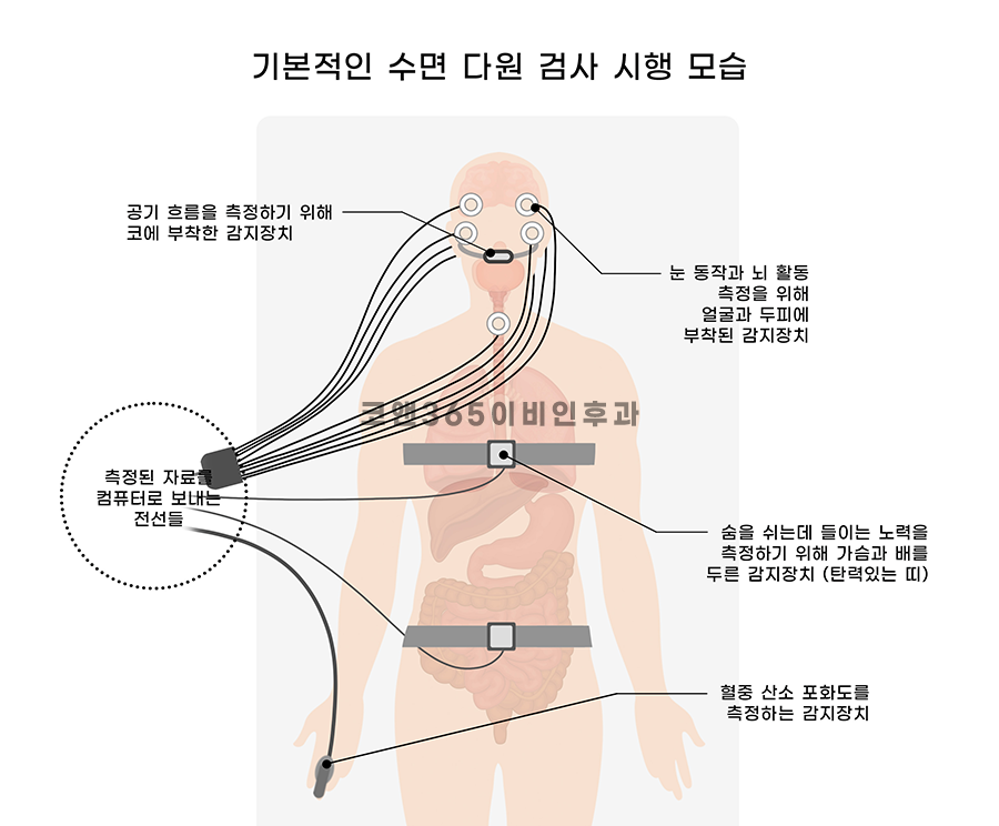 양주종합산소 이미지