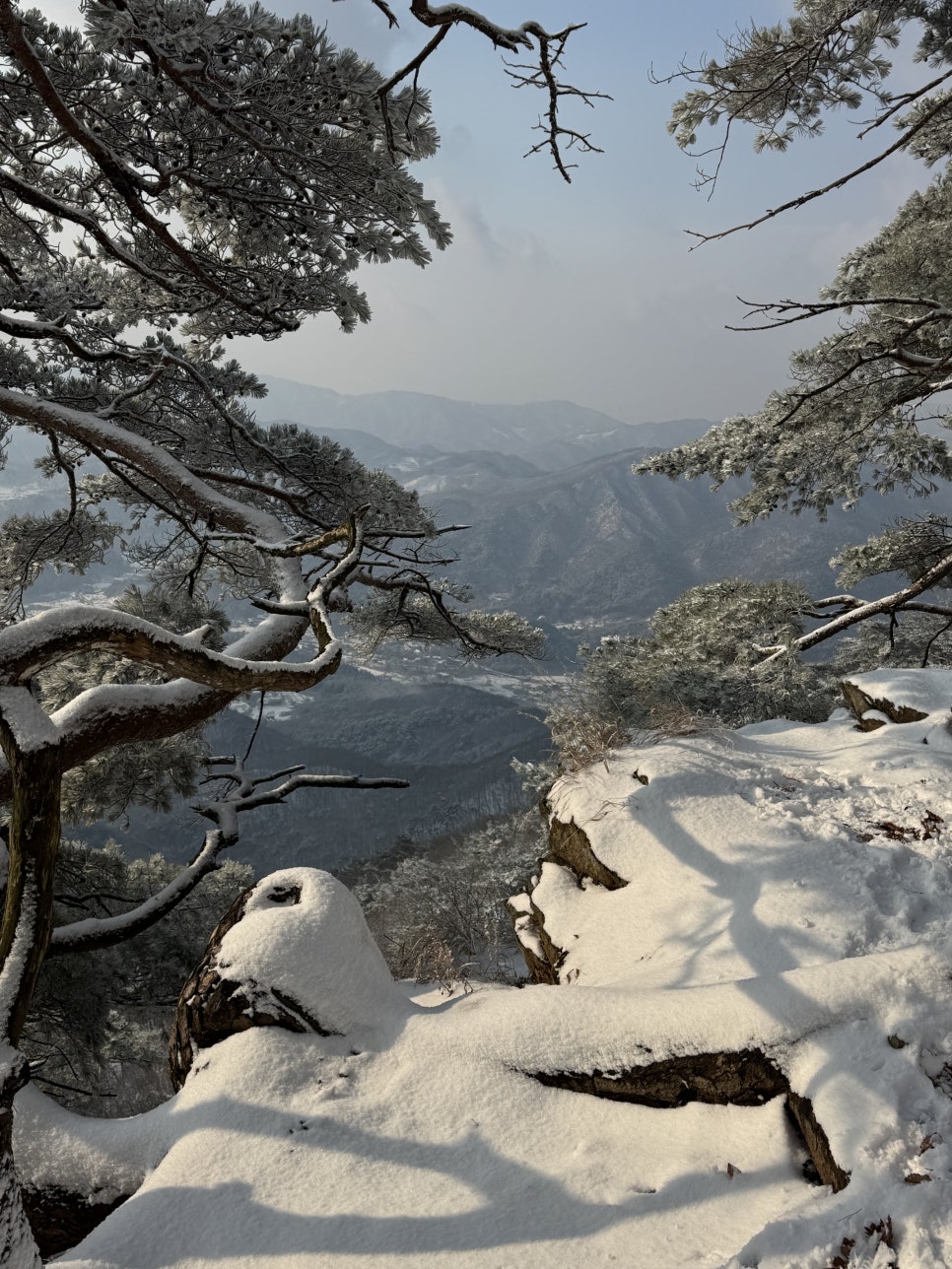 욜로종합관리 이미지