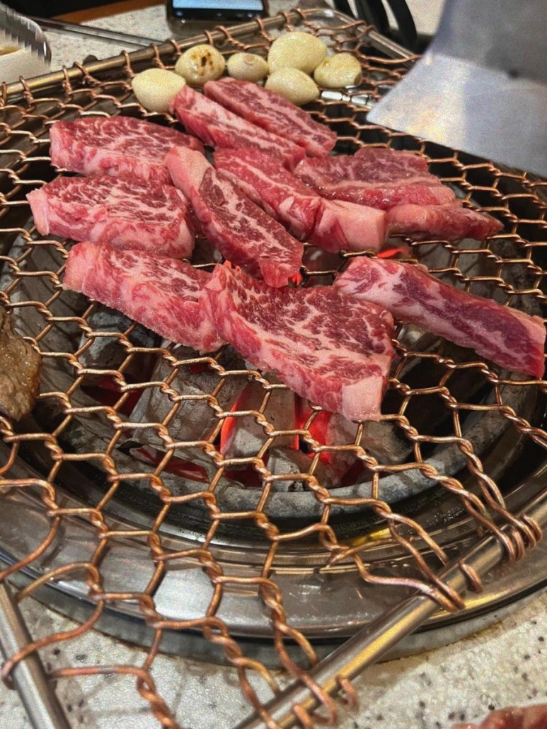 강동갈빗살 이미지