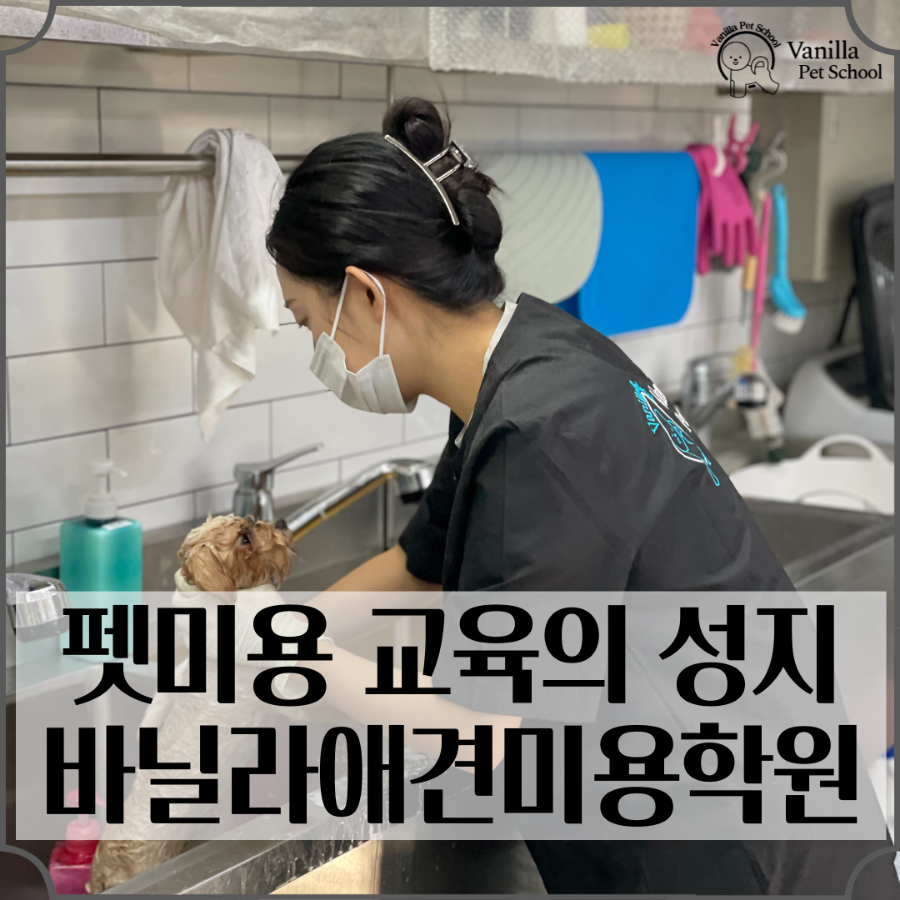 한국직업능력개발학원 이미지