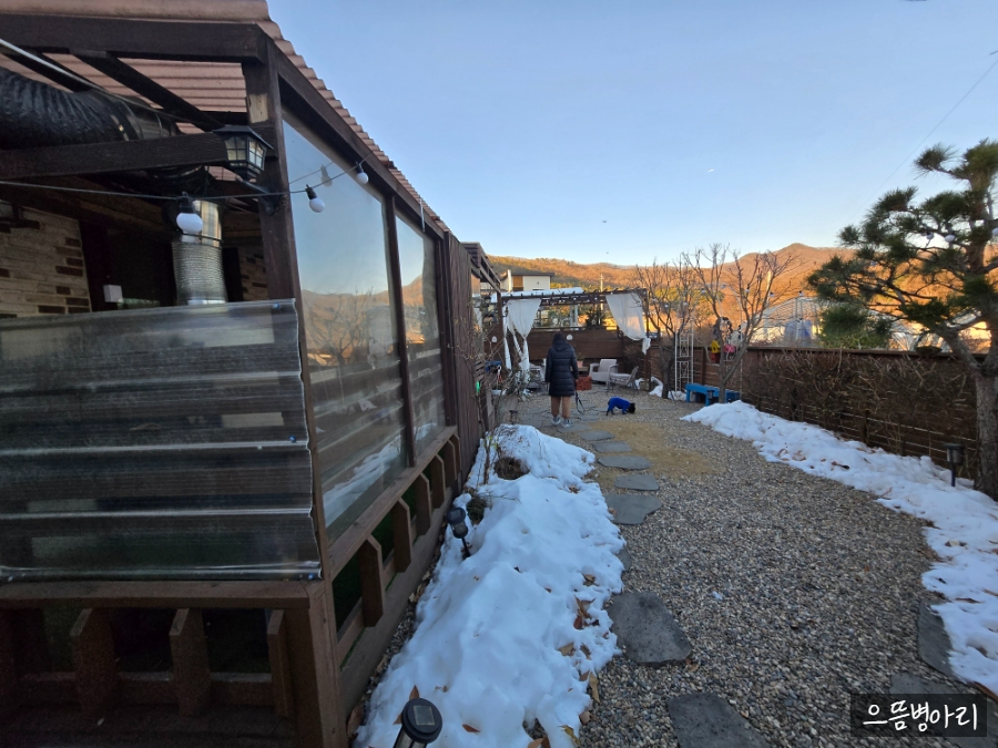 용인 애견 동반 독채펜션 티나펜션 겨울여행 후기 — 사진 2