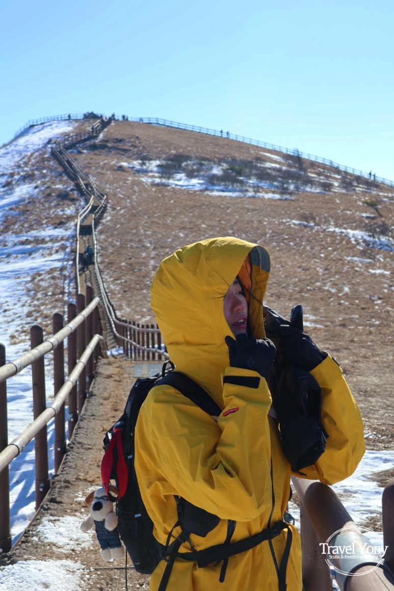 다리안쉼터 이미지