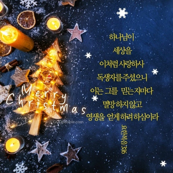 트리니티음악학원 이미지