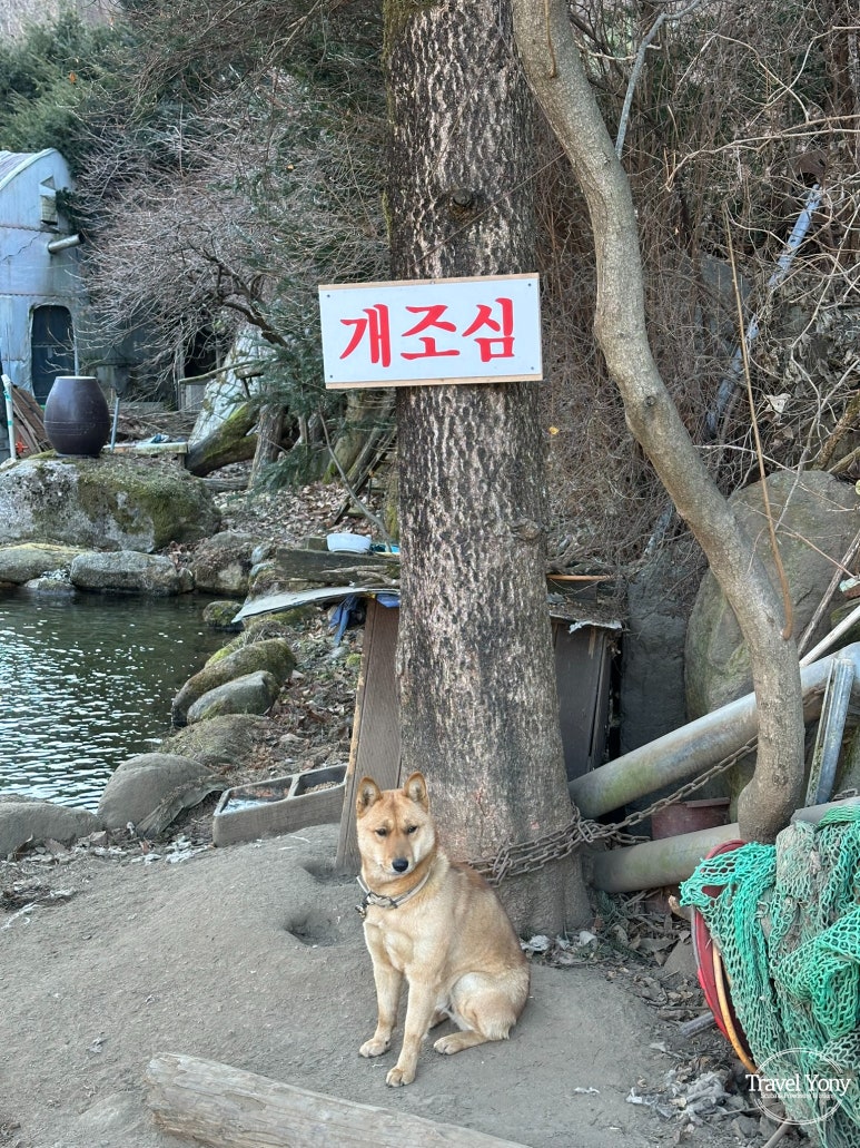 다리안쉼터 이미지