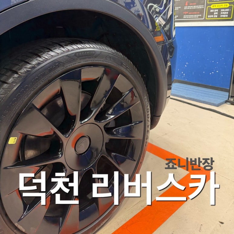 리버스카 이미지