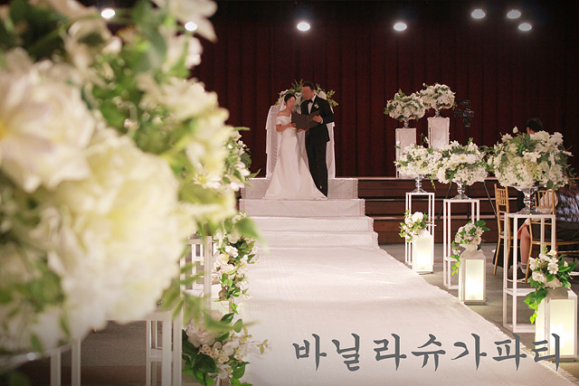 슈가파티 이미지