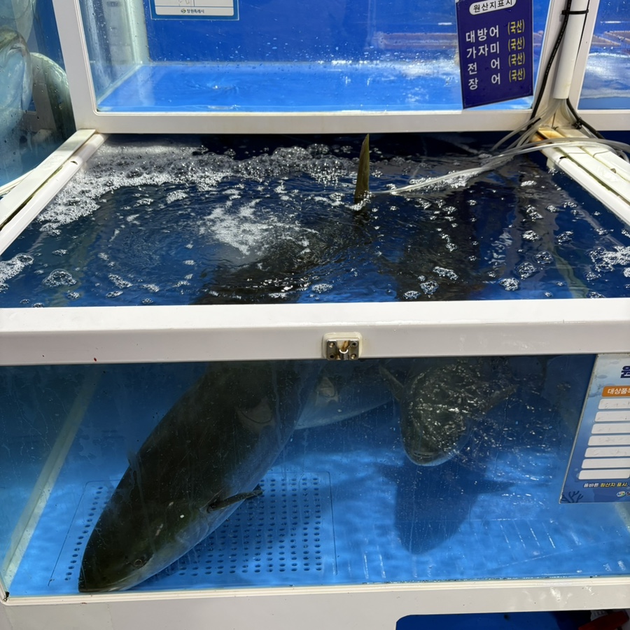 진동수산횟집 이미지
