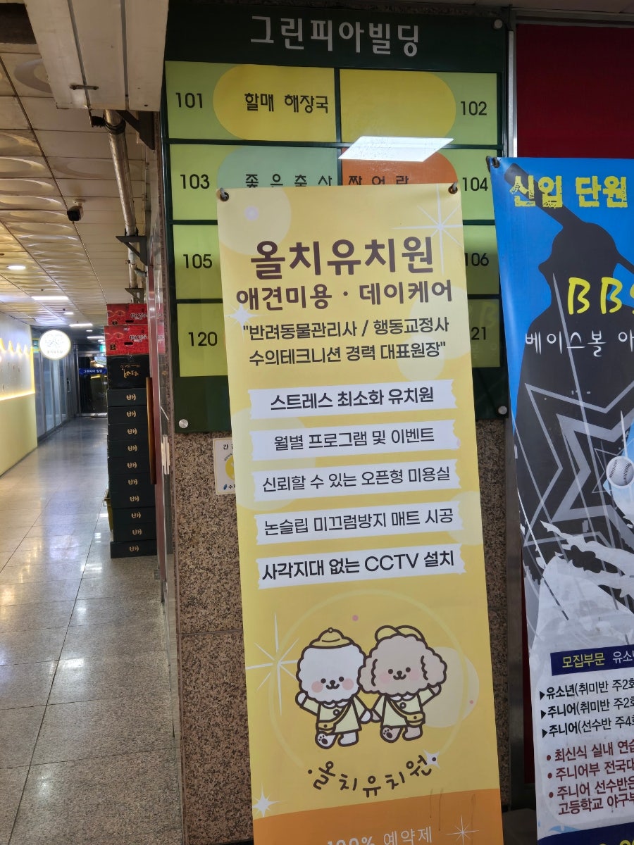 용인 죽전 올치애견유치원: 미용·호텔 가격 및 후기 — 사진 7