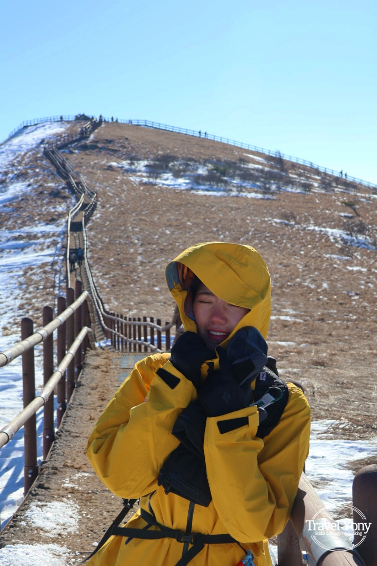 다리안쉼터 이미지