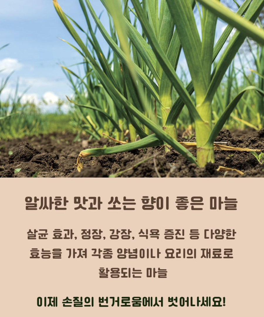 우리싱싱야채 이미지