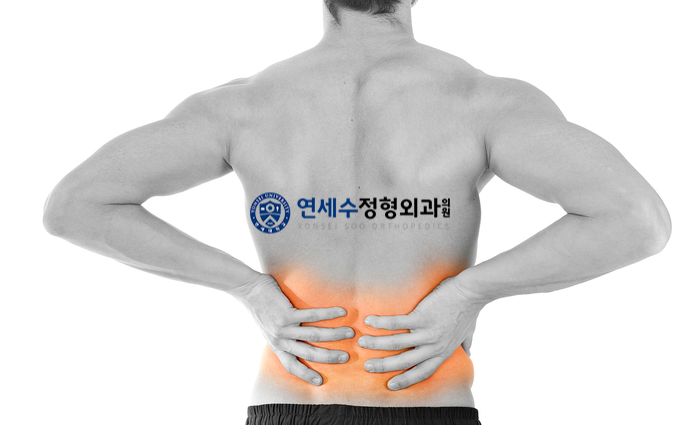 새연세정형외과의원 이미지