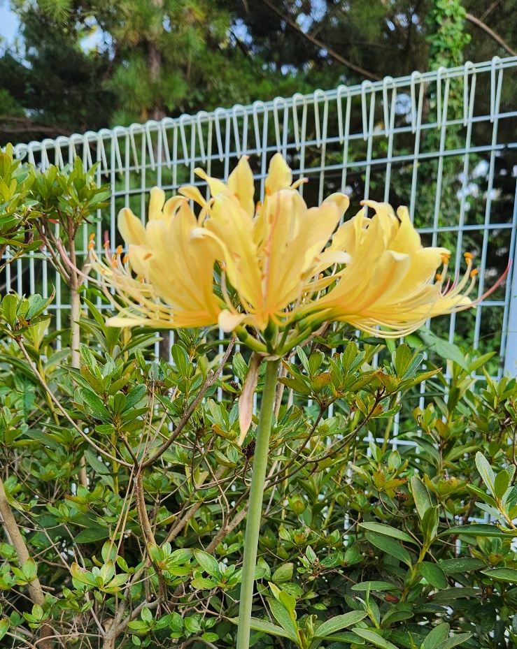 솔치펜션 이미지