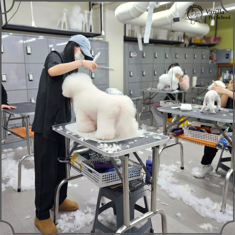 한국직업능력개발학원 이미지