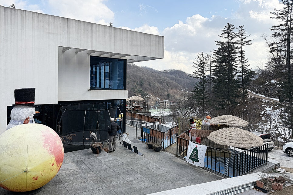 카페반디나무 이미지