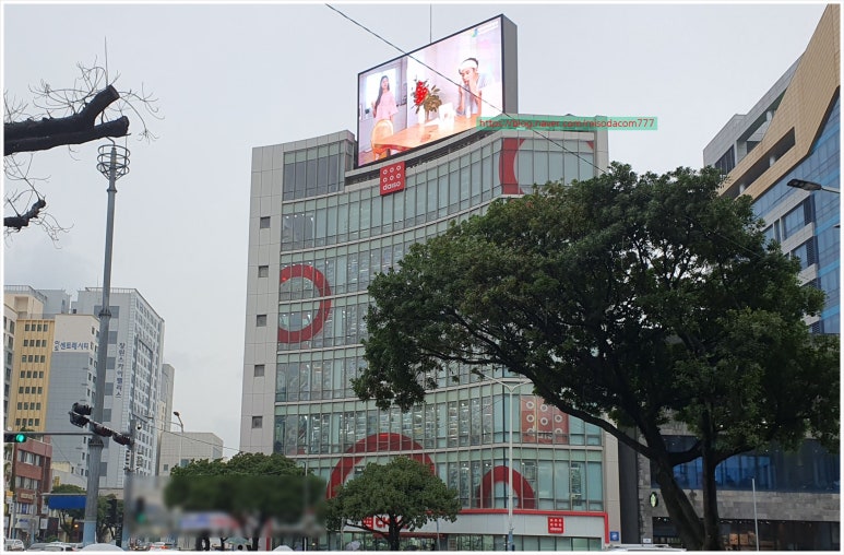 김영석성형외과 이미지