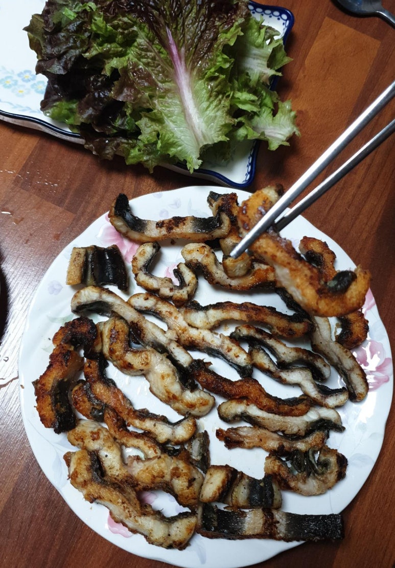 채움장어 이미지