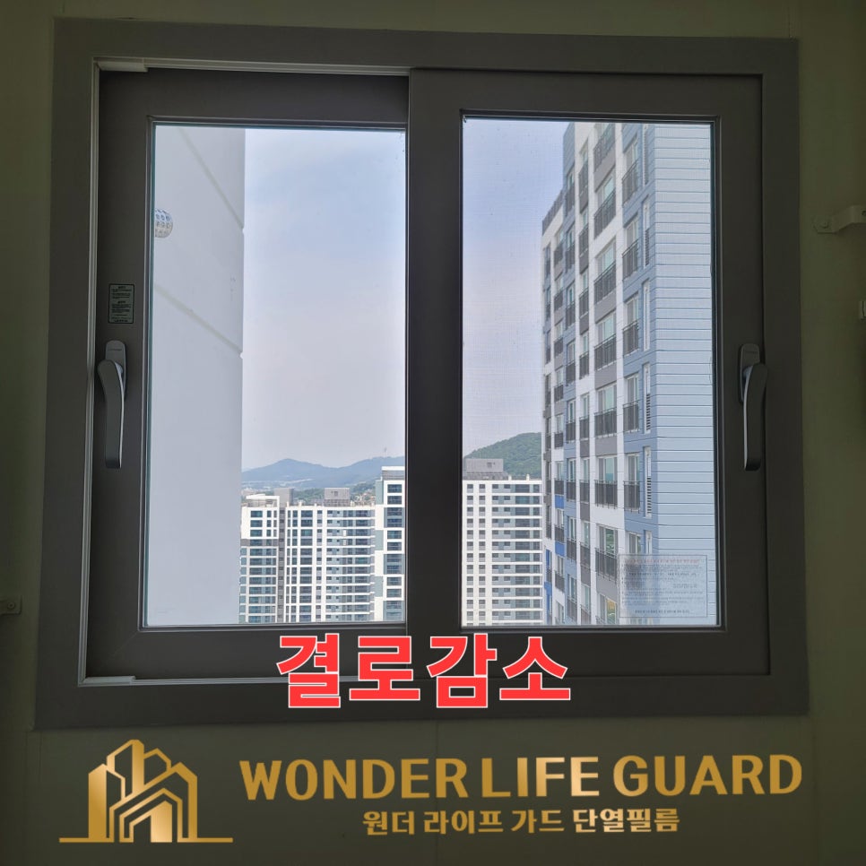원더 필름 이미지