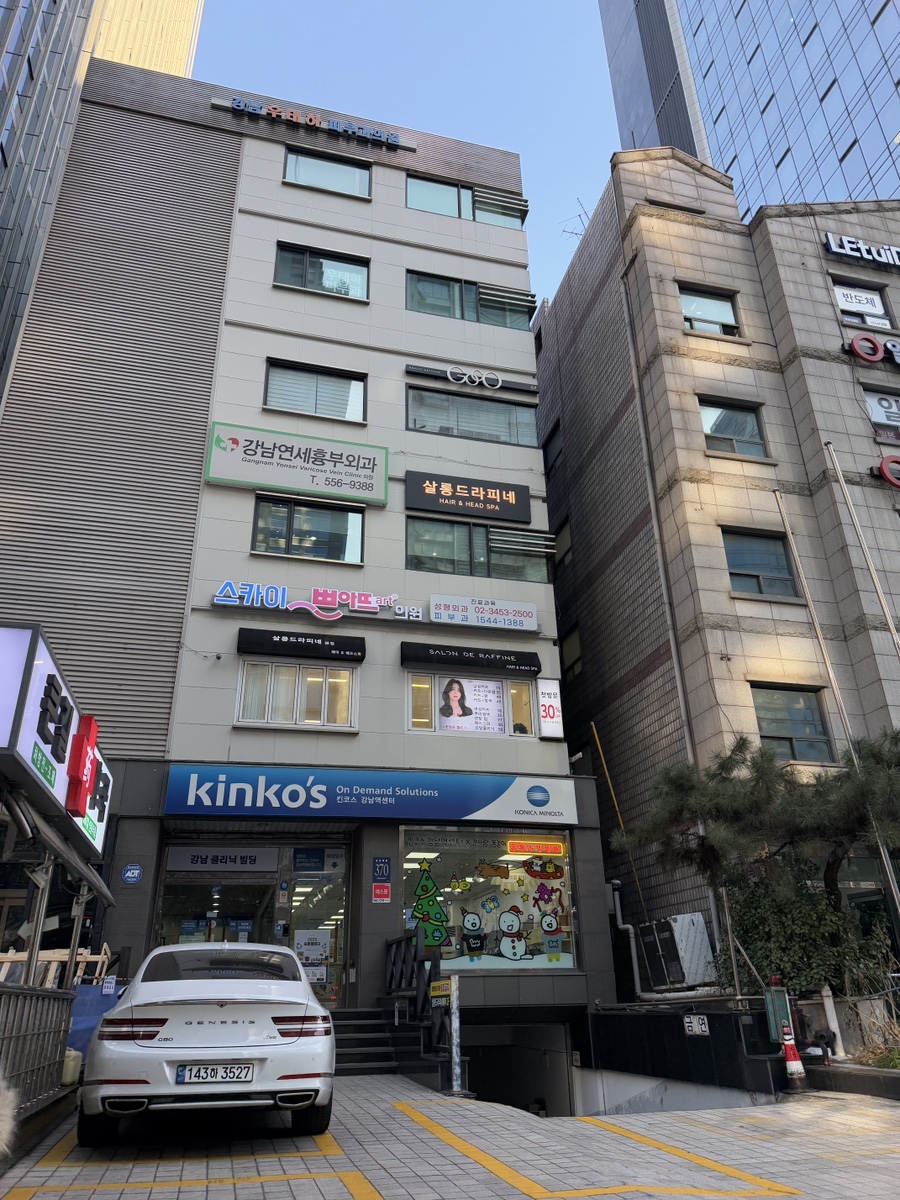 살롱드 지유 이미지