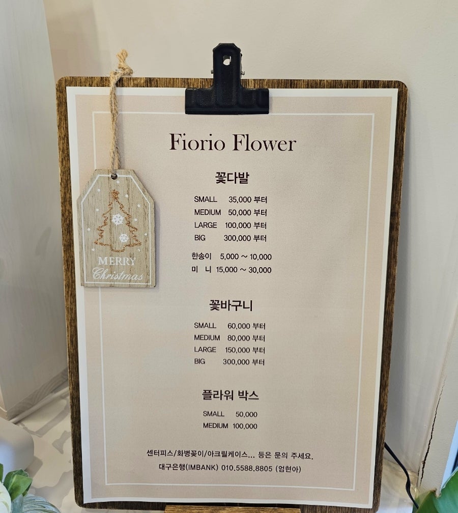 피오리오 이미지