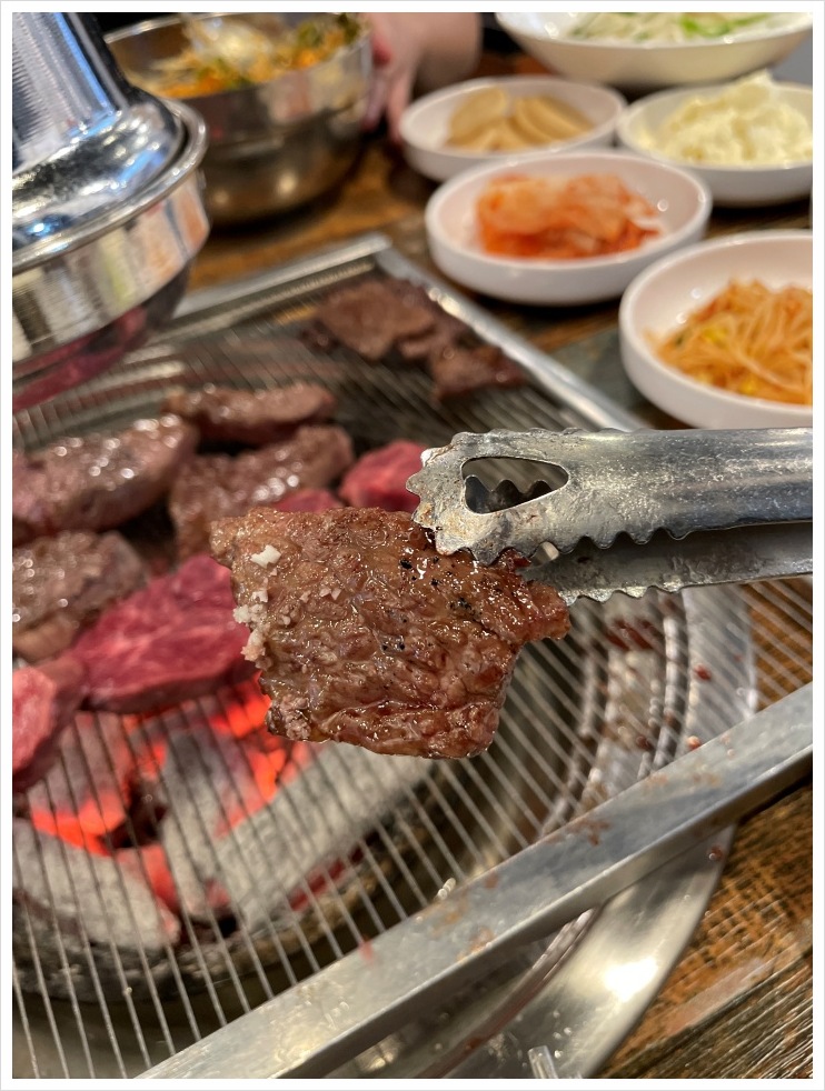 참토우 이미지