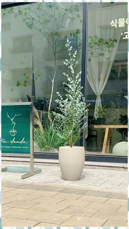 식물을담다 이미지