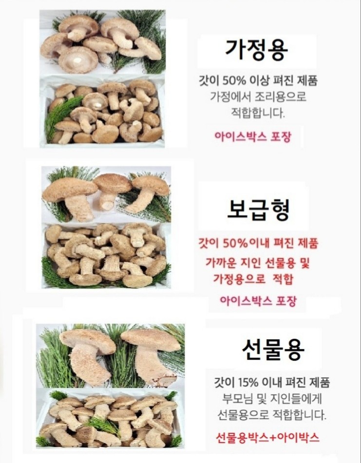송향버섯 이미지