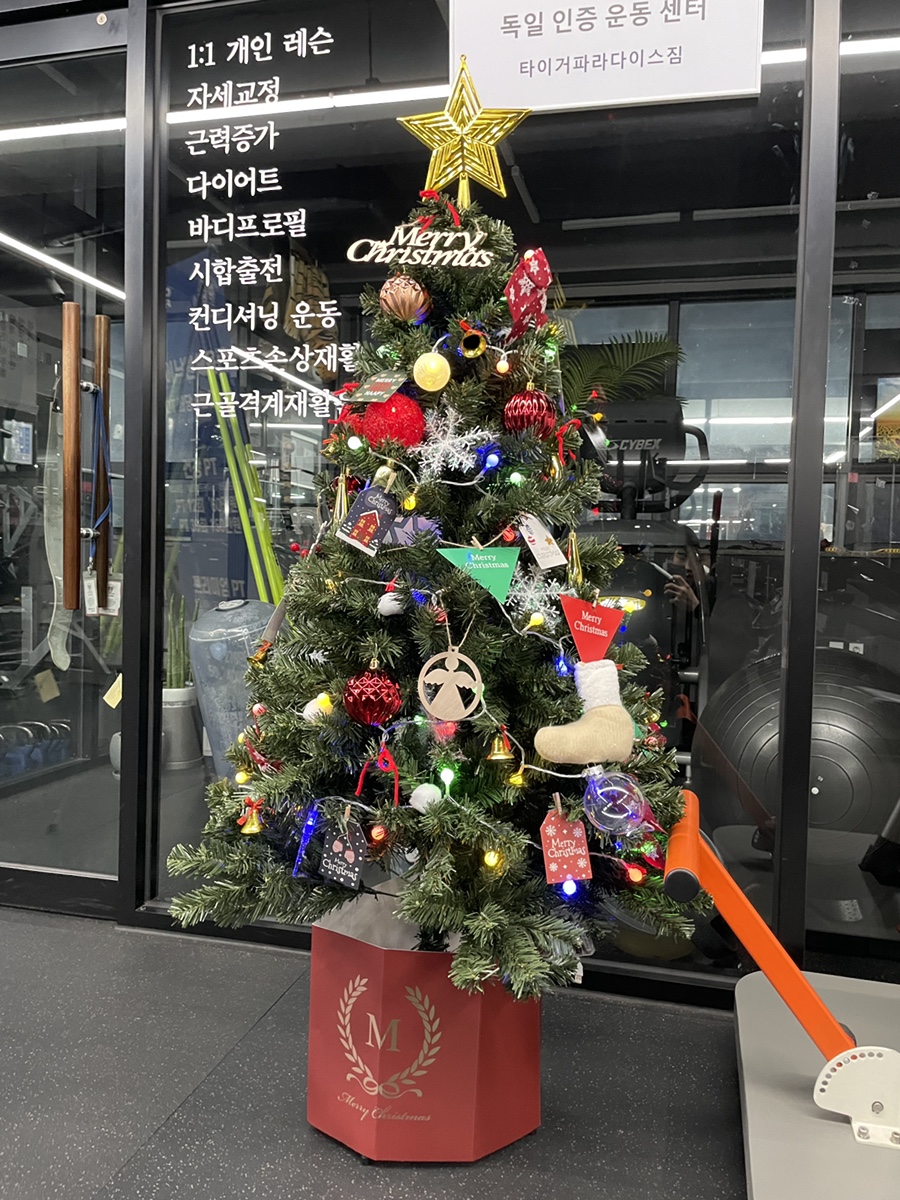 타이거파라다이스짐 이미지