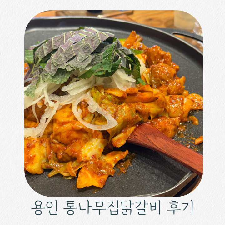 춘천통나무집닭갈비롯데프리미엄아울렛 이미지