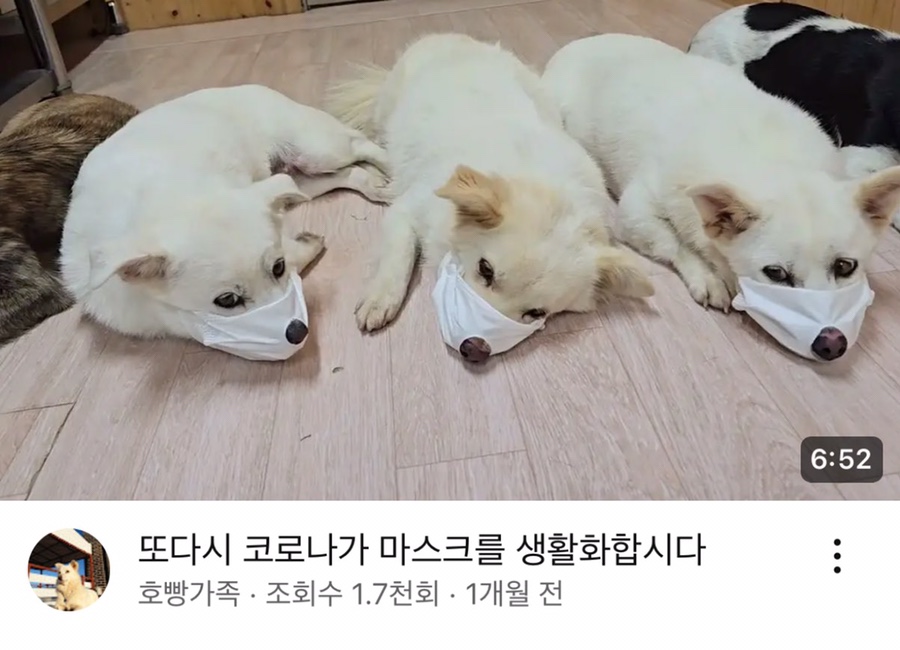 복 이미지