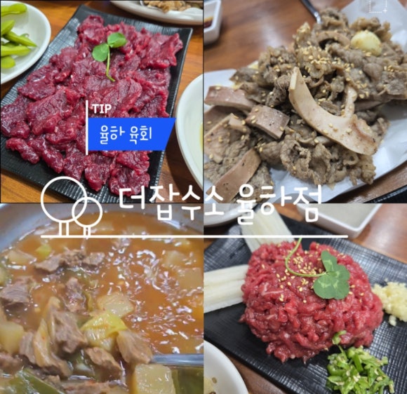더잡수소 이미지