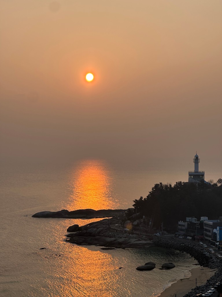 해당화다방 이미지