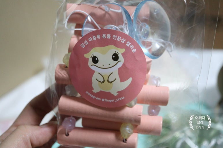 캘리송 이미지