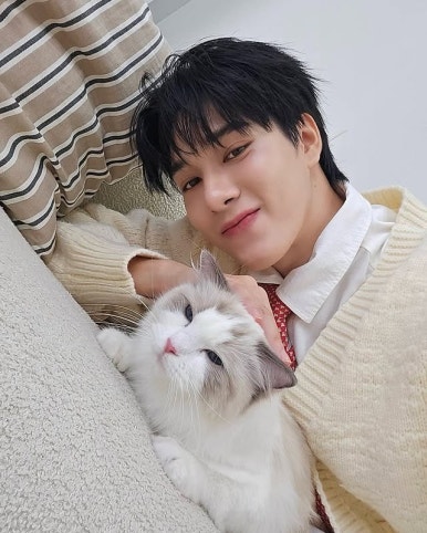 스카이가방 이미지