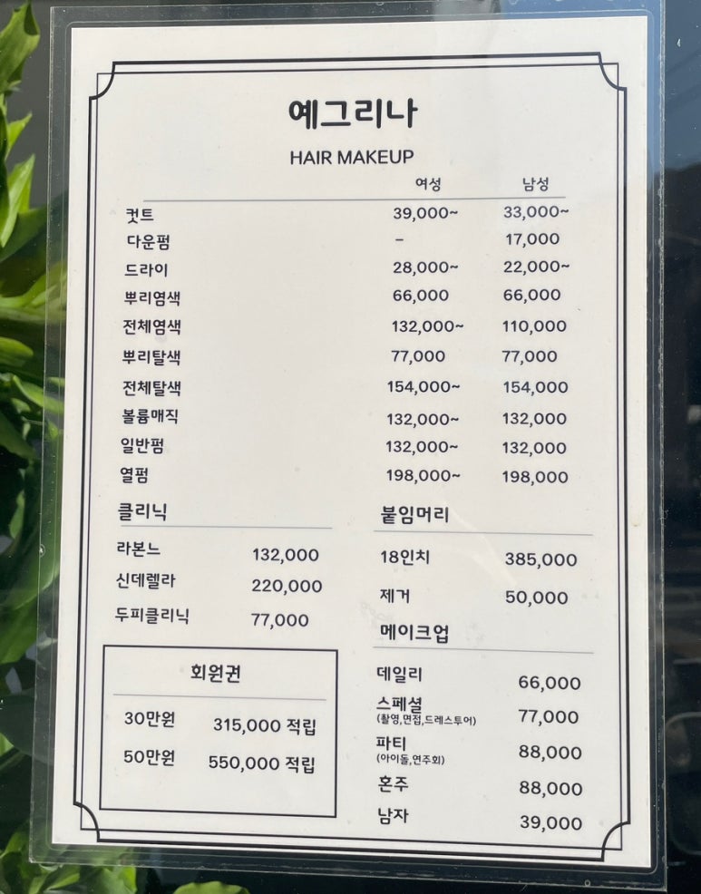 예그리나헤어 이미지