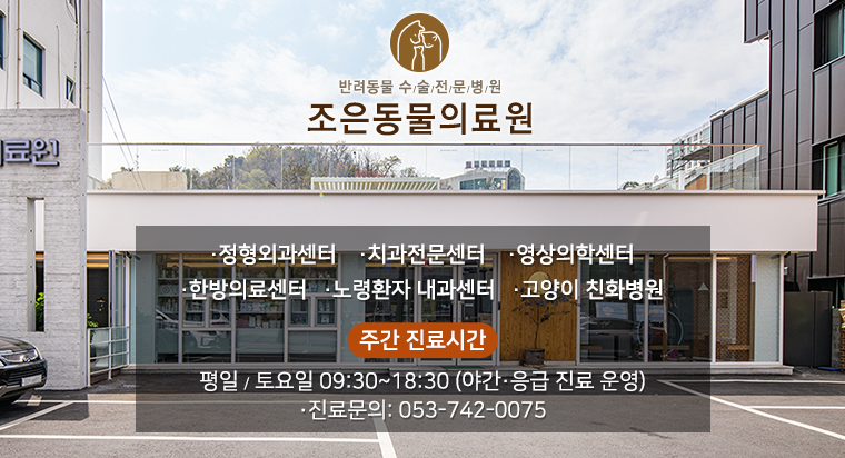 e조은컴퓨터 이미지