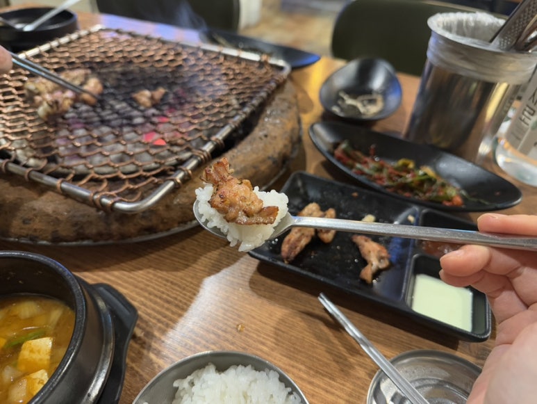 범이시켜 이미지