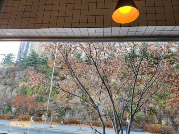 위윌커피 이미지