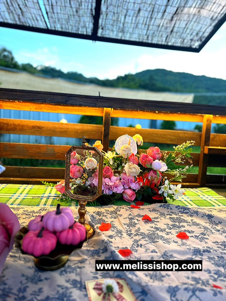 파티멜리시 이미지