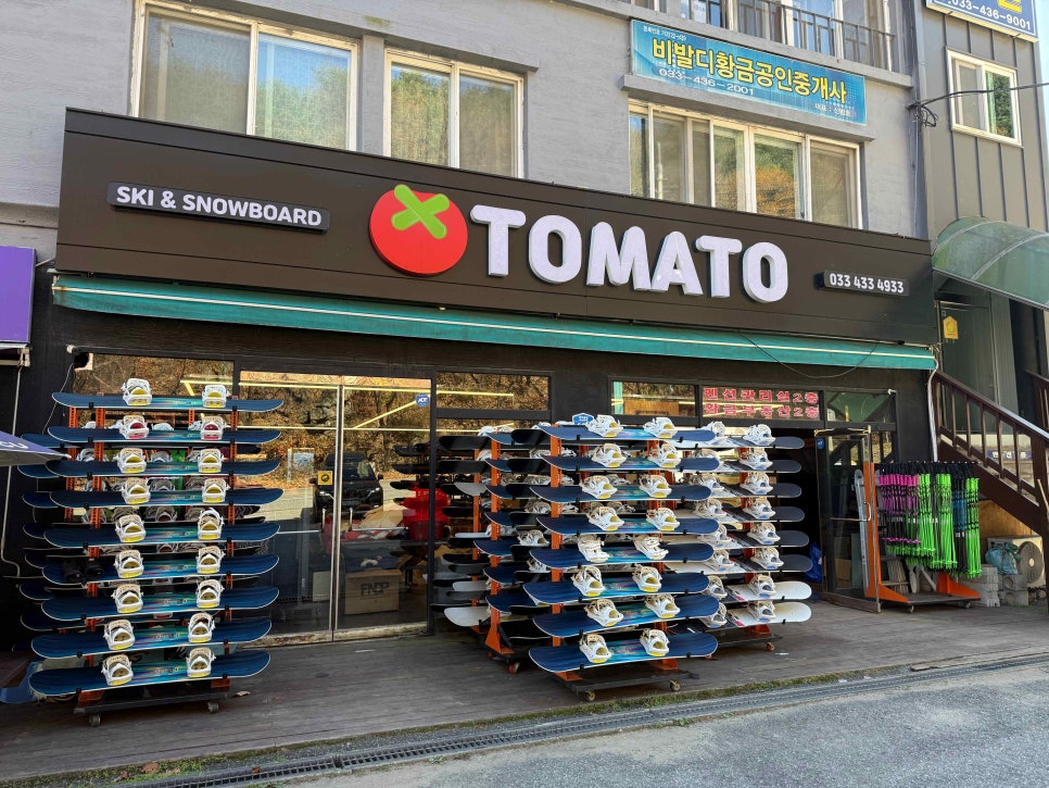 토마토스포츠 이미지