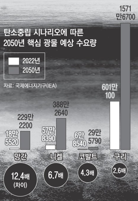 대왕자원 이미지