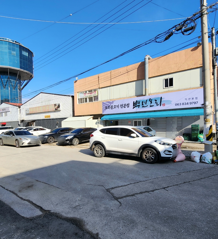 백년오리 이미지
