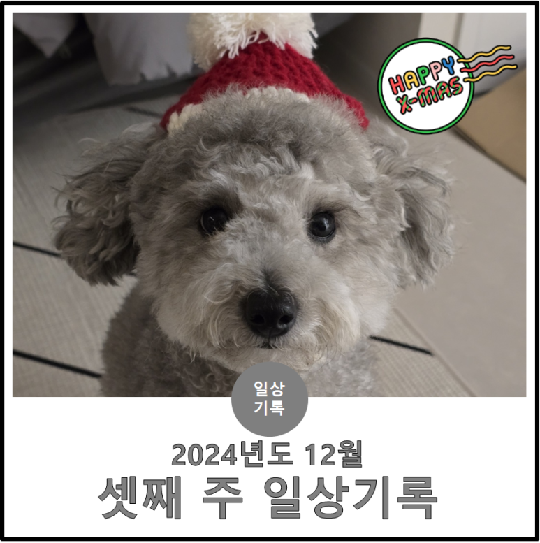 (주)여행투데이 이미지