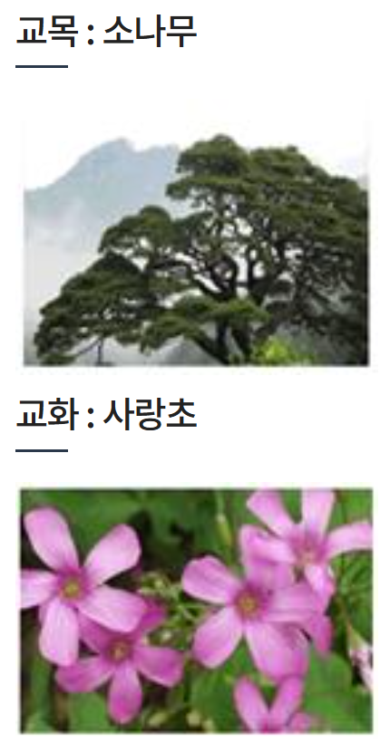부산혜송학교 이미지