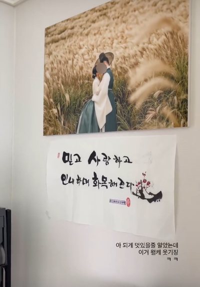 동댕이네 이미지