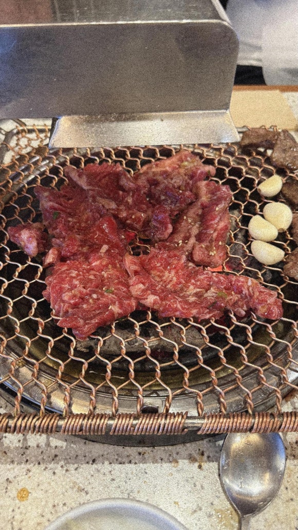 강동갈빗살 이미지