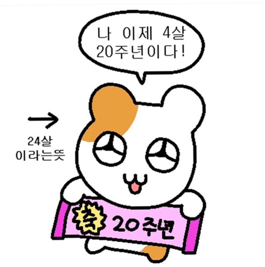 한스쿱 이미지