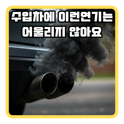 디피에프 이미지