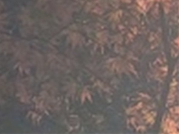 와인치과의원 이미지