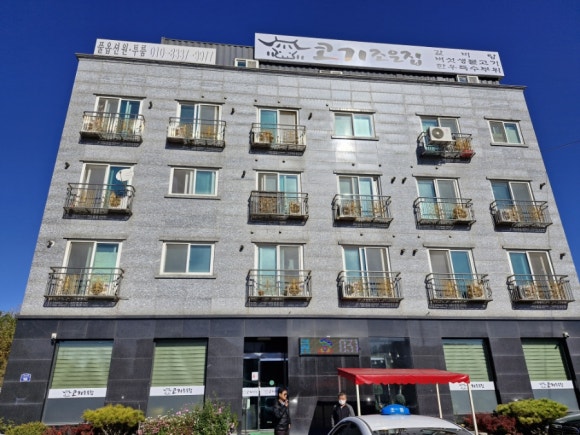 코기조은집 이미지
